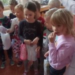 phoca_thumb_m_mikul zajci 30 Fotogalerie